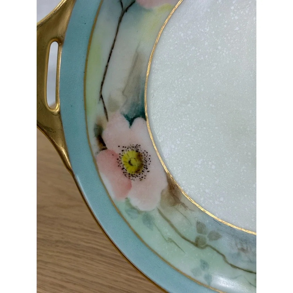 Vintage Thomas Bavaria 1920s Hand Painted Pink‎ Flowers Plate handles